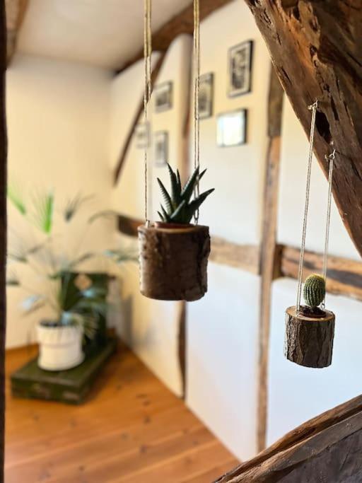 Fachwerkhaus Am Waldesrand Villa Solingen Ngoại thất bức ảnh